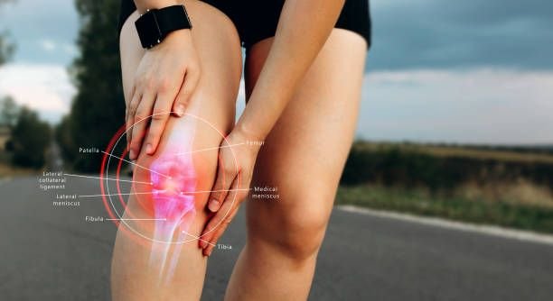Human Knee joint anatomical diagram,  medical scheme. Educational information template